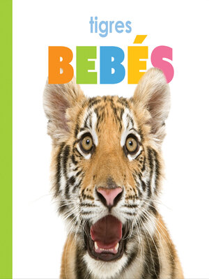 cover image of Tigres bebés